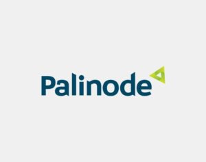 Palinode Palinode